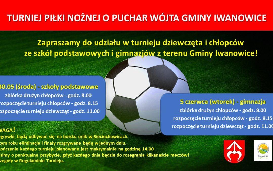 Turniej piłki nożnej o Puchar Wójta Gminy Iwanowice