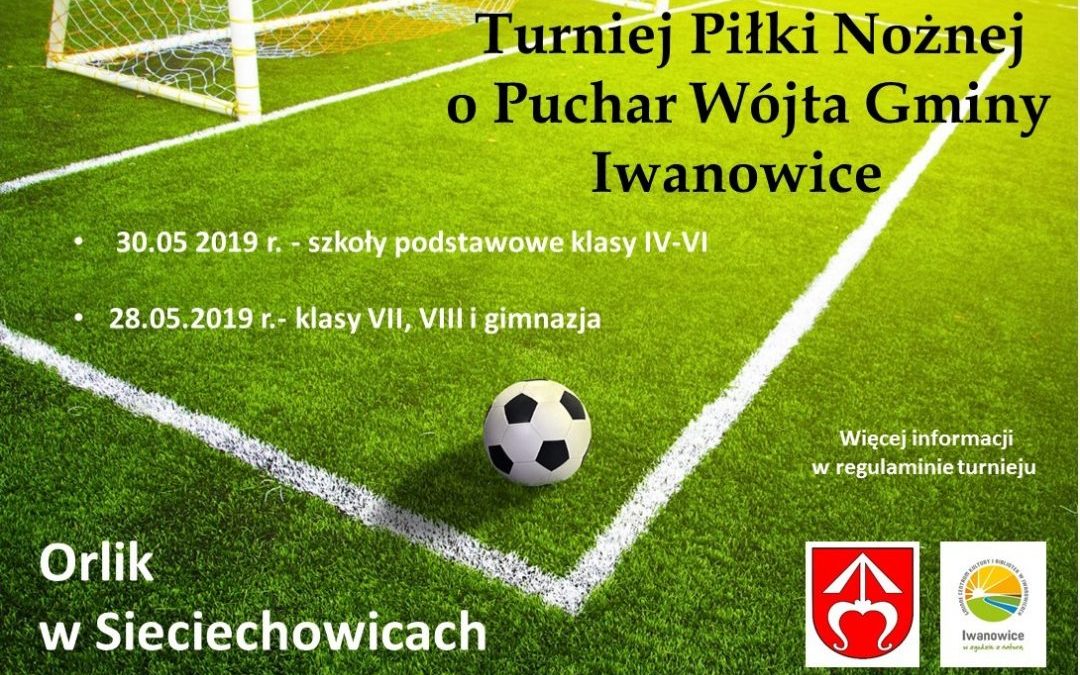 Turniej Piłki Nożnej o Puchar Wójta Gminy Iwanowice