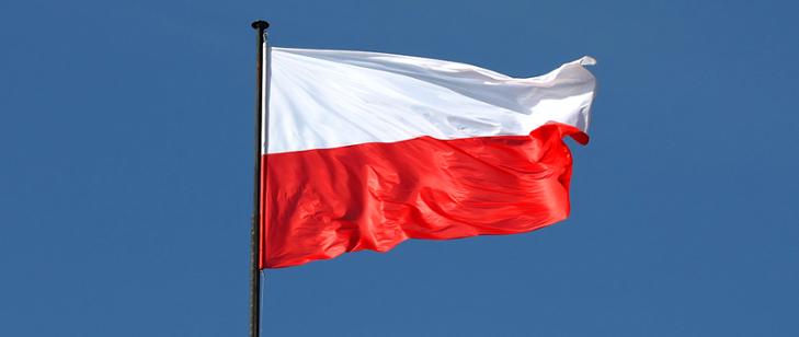 Głosuj na maszt z flagą w Sieciechowicach