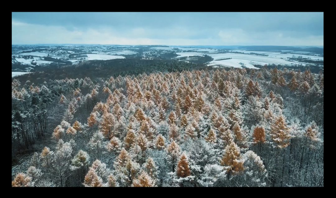 Gmina Iwanowice zimą